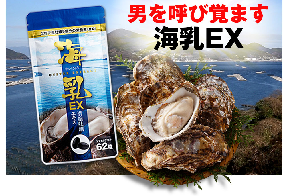 男を呼び覚ます海乳EX