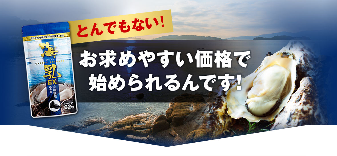 お求めやすい価格で始められるんです